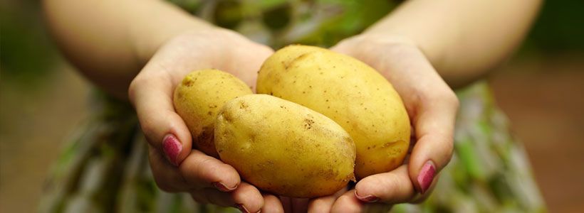 Het aardappelprobleem uitgespit!