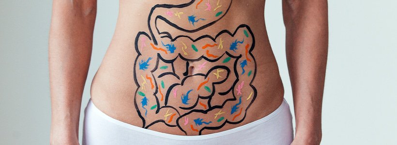 Verbeter je darmgezondheid en versterk je immuunsysteem